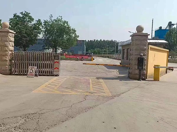 ���ݳ�ò